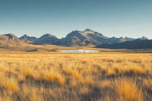 Où se trouve la Patagonie : carte et voyage dans cette région entre Argentine et Chili