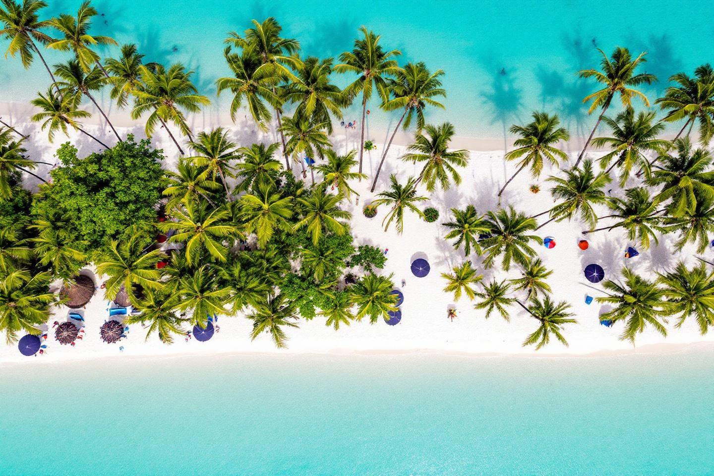 Aruba : paradis caribéen à explorer pour vos vacances idéales