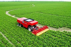 Comment les Brésiliens ont augmenté leur production agricole : l'essor d'une puissance mondiale
