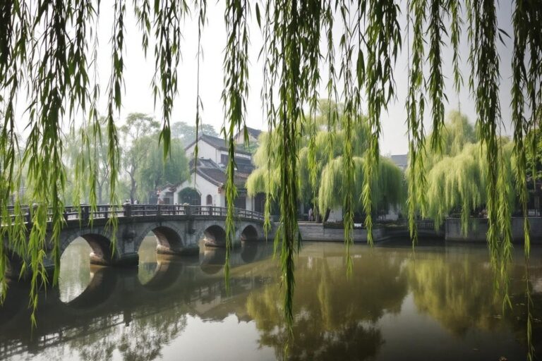 Zhouzhuang : découvrez ce village d'eau traditionnel et ses canaux pittoresques