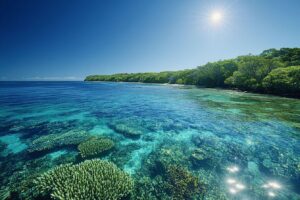 Magnetic Island Australie : guide complet pour visiter l'île magique