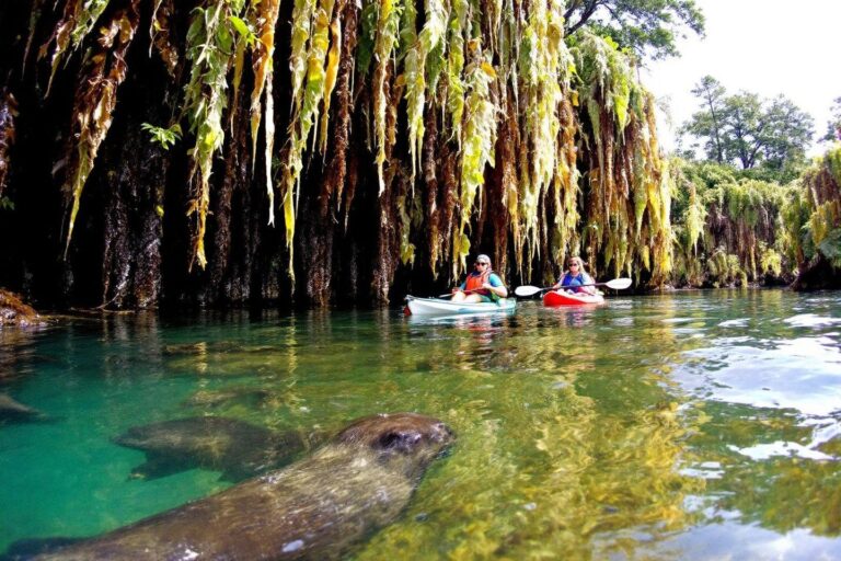 Que faire à Monterey Bay : guide complet des activités en Californie