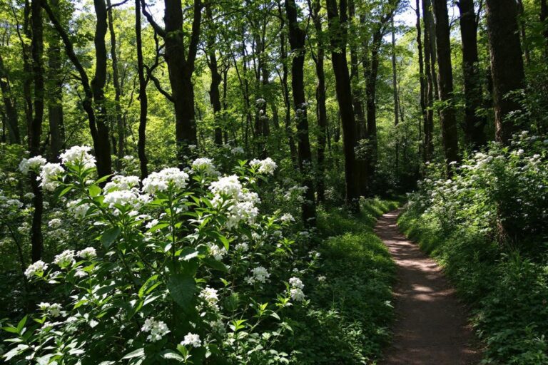 Où voyager en mai : destinations idéales pour un climat tempéré
