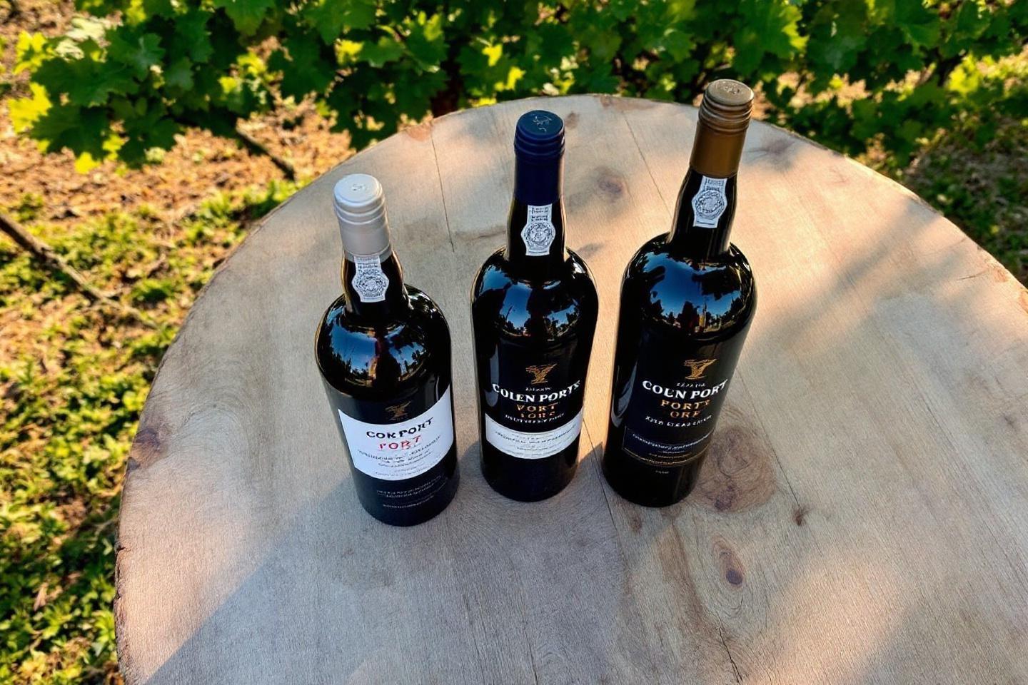 Comment choisir entre porto ruby, tawny et vintage : guide complet