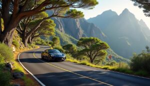 découvrez le parc naturel d'anaga à tenerife en voiture : les sites incontournables à visiter, conseils pratiques pour une exploration réussie et astuces pour profiter pleinement de ce joyau naturel.